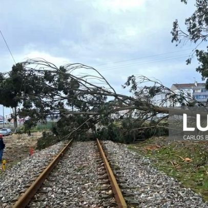 Comboios suspensos em vários troços da linha do Norte até Évora