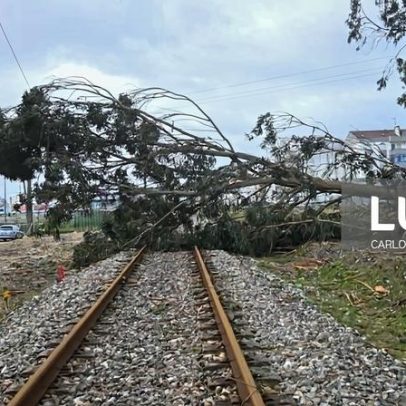 Linha do Norte reabre para comboios de longo curso entre Braga e Lisboa
