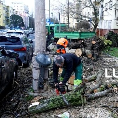 Área Metropolitana de Lisboa regista prejuízos de 270 milhões por mau tempo
