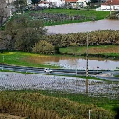 Ministro da Agricultura anuncia 40 milhões de euros em apoios por mau tempo