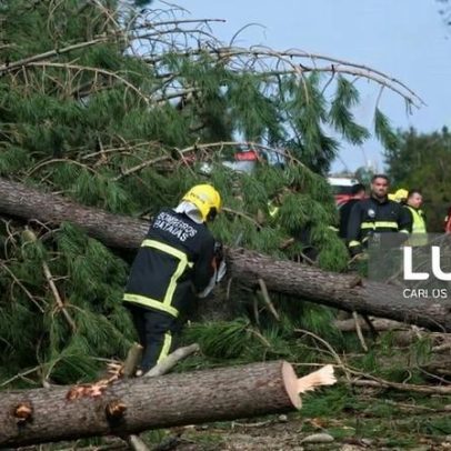 Câmara de Alvaiázere pede mais bombeiros para reforçar o serviço