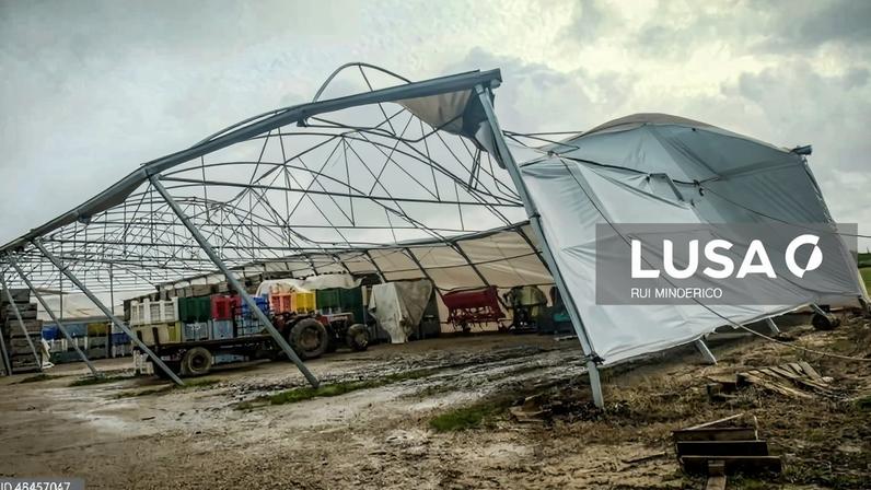 Declarados mais de 449 ME de prejuízos na agricultura e pescas