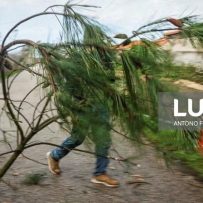 Associação de Vítimas de Pedrógão Grande acusa Governo de resposta lenta