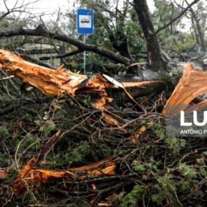 Castanheira de Pera prevê prejuízos de 5 milhões com 550 habitações