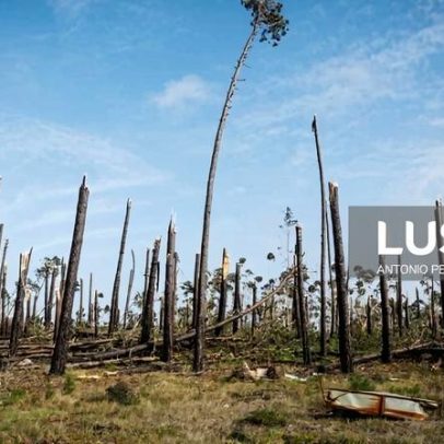 Drones e 100 voluntários da empresa mapeiam estragos em Leiria