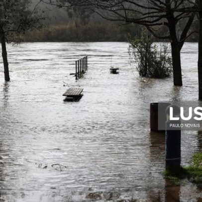 Circulação suspensa na Linha do Norte entre Castanheira do Ribatejo e Alverca
