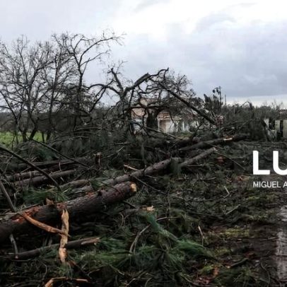 CAP já recebeu indicações de prejuízos da ordem de 130 milhões de euros