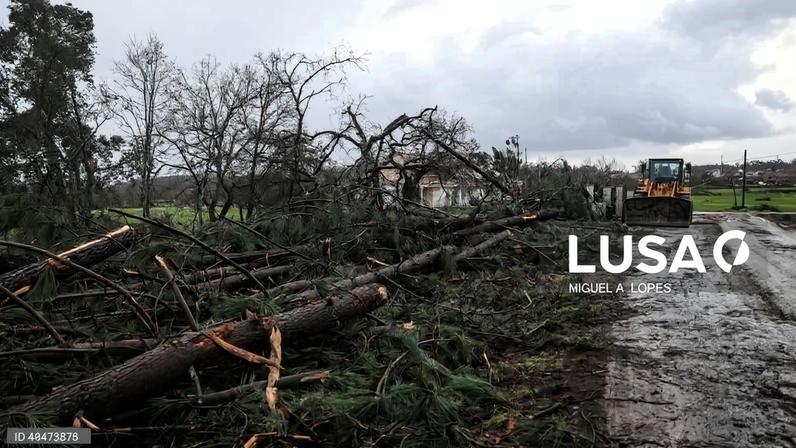 CAP já recebeu indicações de prejuízos da ordem dos 130 ME
