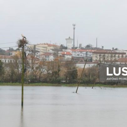Concelho de Soure regista 10 desalojados