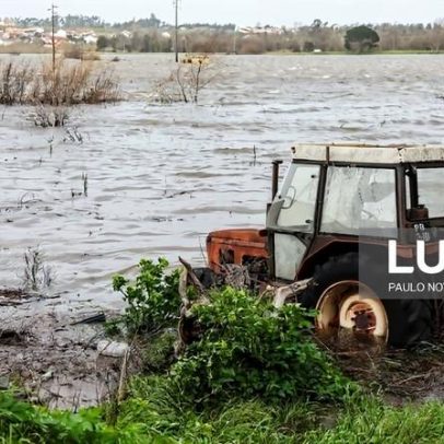 Mau tempo agrava crise da indústria de alimentação animal, afirma associação