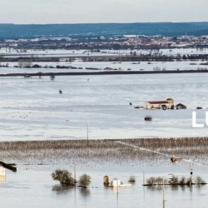 Agricultura e floresta com prejuízo de 775 milhões devido ao mau tempo