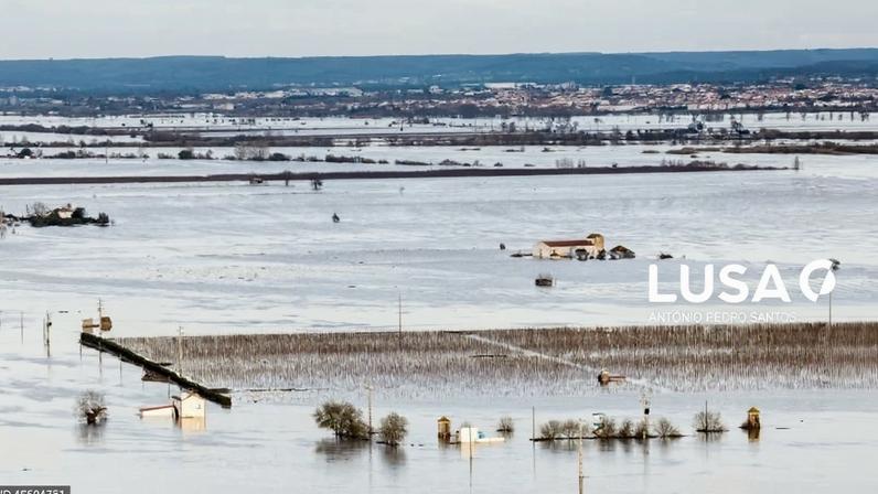 Setores agrícola e florestal com prejuízo de 775 ME devido ao mau tempo