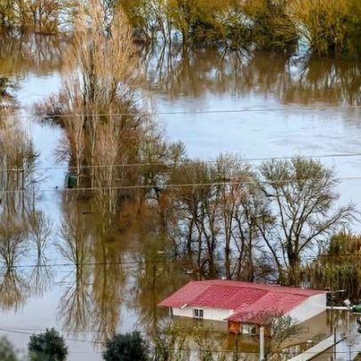 Caudais do Tejo permanecem estáveis no distrito de Santarém