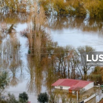 Mais de 160 vias afetadas no distrito de Santarém
