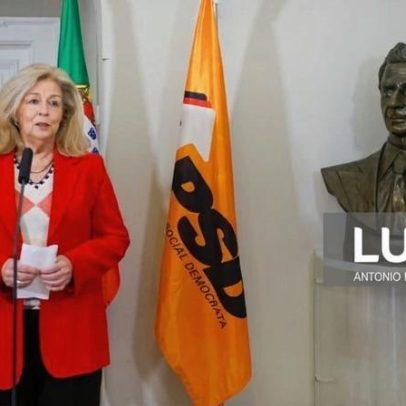 PSD espera cooperação interinstitucional intensa com Seguro