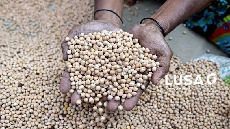 Angola desembolsou 31,7 milhões de dólares para importação de sementes em 2025