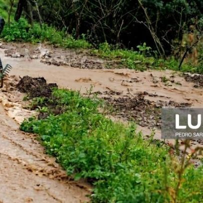 Aviso laranja de chuva estende-se hoje a Coimbra e sete distritos