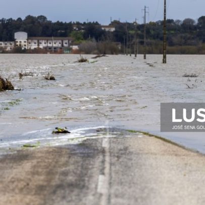 Tejo mantém alerta vermelho por subida de caudais com chuva e aluimentos