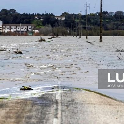Alerta de cheias no Tejo desce de vermelho para amarelo