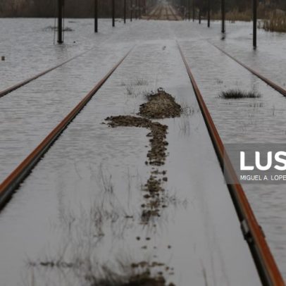 Circulação na Linha do Alentejo retomada entre Pegões e Bombel