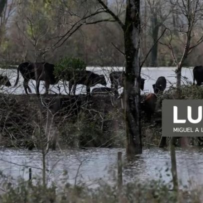 Lisboa e Vale do Tejo registam 107,9 M€ de prejuízos na agricultura