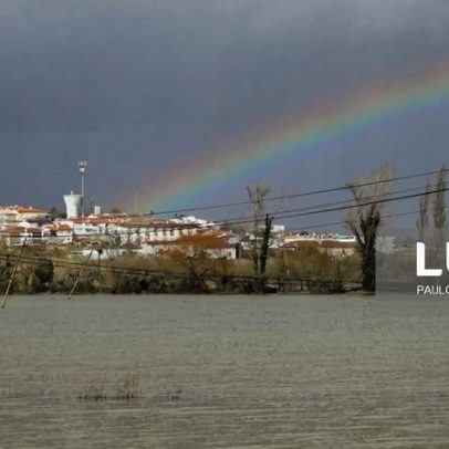 Segurança Social envia 200 técnicos para apoiar 1.537 desalojados