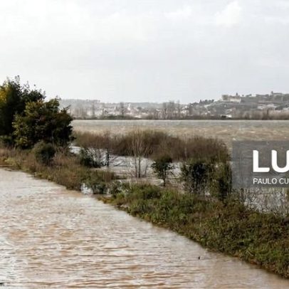 Agricultores de Coimbra exigem reparação do canal de rega do Mondego para manter culturas