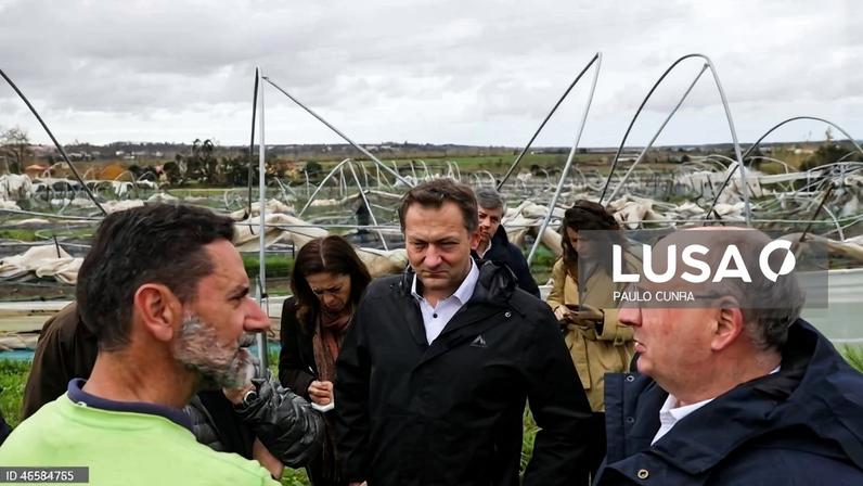 Comissário europeu admite que reserva agrícola “não chega” para dimensão dos estragos em Portugal