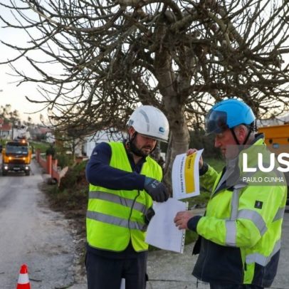 Irlandeses surpreendidos com devastação ajudam a devolver luz a aldeias de Leiria