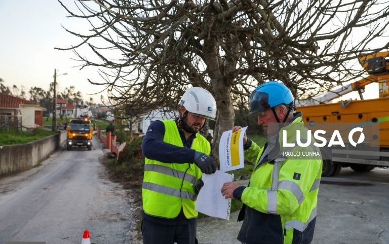 Irlandeses espantados com a devastação procuram devolver luz a aldeias de Leiria