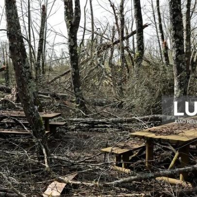 Casal dos Bernardos teme que florestas se tornem pólvora no verão