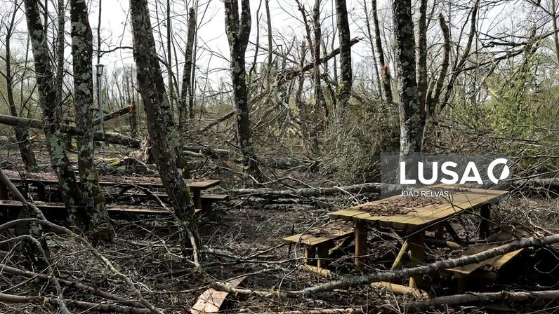 Depois da tempestade, Casal dos Bernardos teme matas transformadas em pólvora no verão