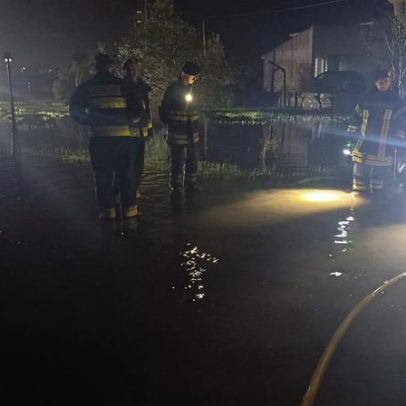Bombeiros ocupados em Marinhais