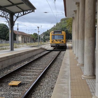 Circulação retomada na Linha do Norte entre Castanheira do Ribatejo e Alverca