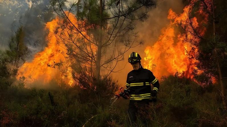 Um quarto dos portugueses dizem já ter sido afectados por fogos florestais