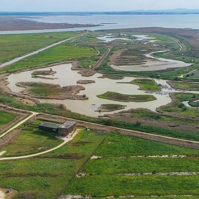 EVOA: uma das 32 zonas húmidas de Portugal