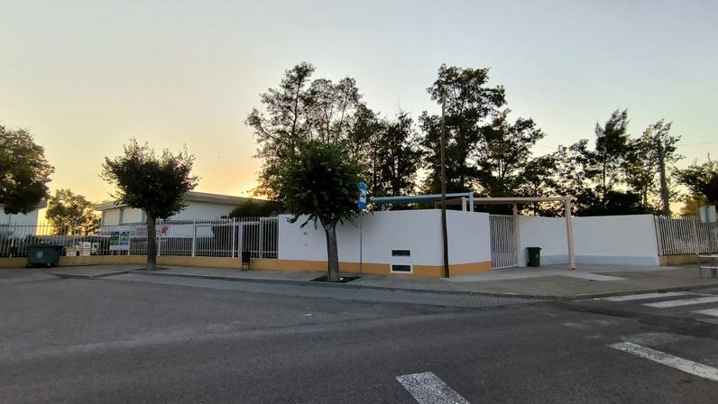 Professora da Escola José Relvas acusada de alegados atos de racismo e agressões