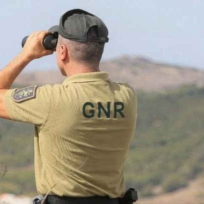 Fusão das carreiras de guarda-florestal e vigilantes da Natureza avança