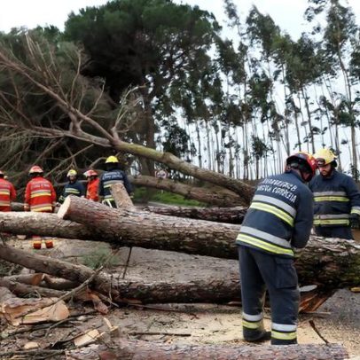 Especialista alerta: Portugal precisa adaptar-se a fenómenos extremos