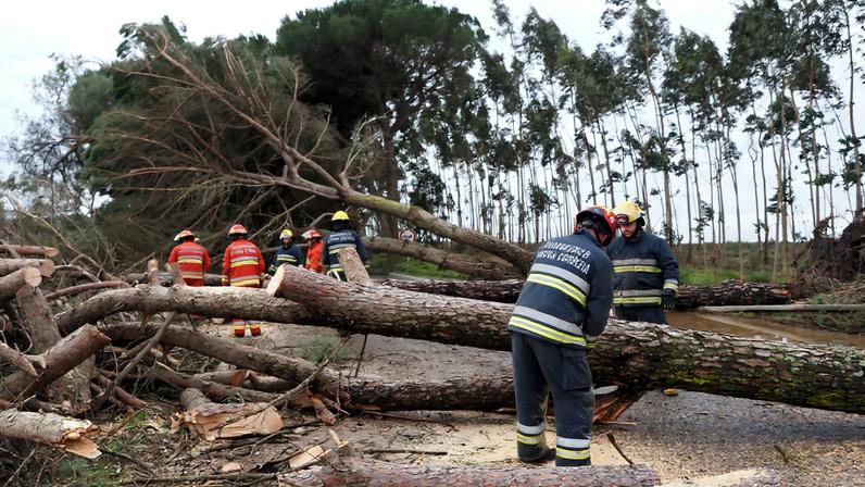 Especialista considera que Portugal tem de adaptar-se aos fenómenos extremos