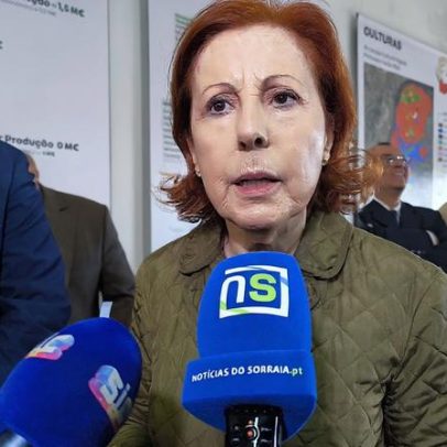 Ministra defende enterramento de linhas para rede elétrica mais resiliente
