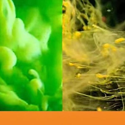 Samuel Martins Coelho retorna às experiências electrónicas com Randomizer