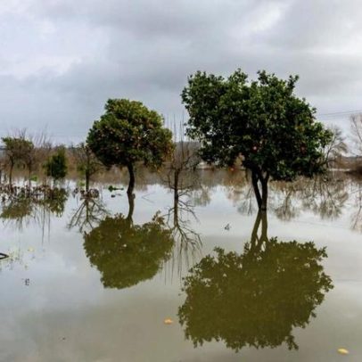 Odemira estima prejuízos de 80 milhões de euros e solicita estado de calamidade