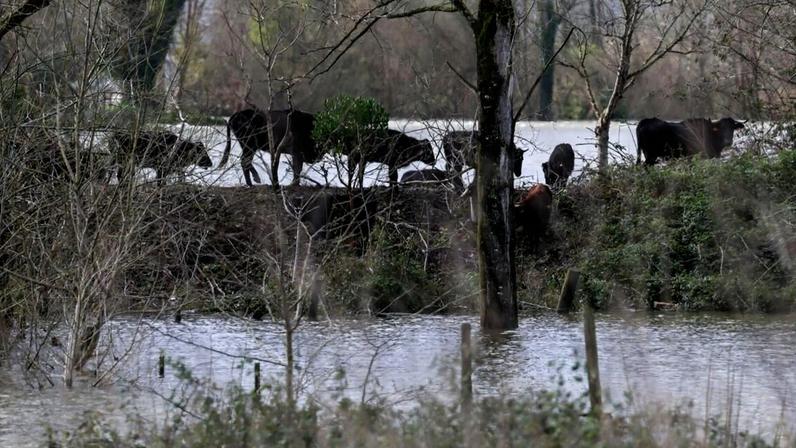 Campos alagadas devidos às tempestades que afetaram Portugal