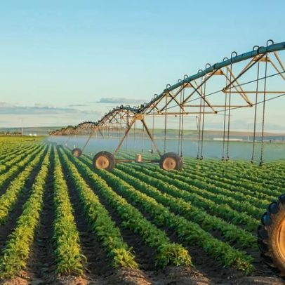 Riscos do acordo UE–Mercosul para a agricultura portuguesa