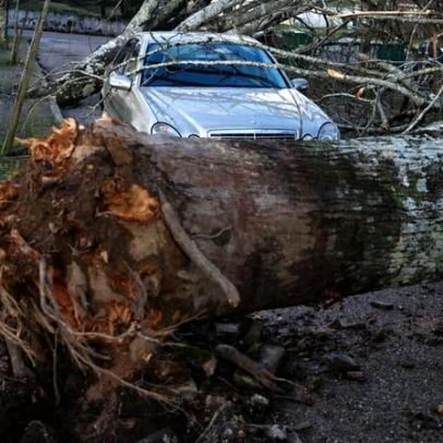 Câmara cancela Rali Histórico Vila da Sertã