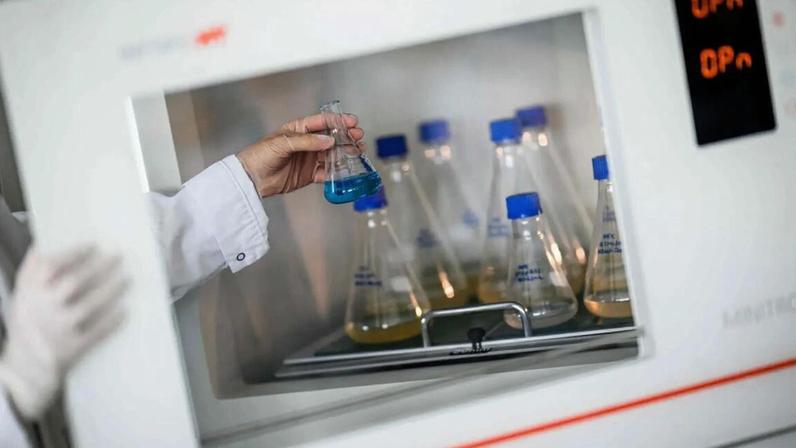 Investigação automatiza amostras recolhidas através do teste de Papanicolau