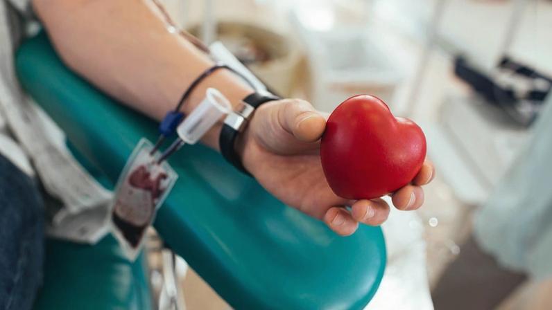 Associação de Dadores da Póvoa de Santa Iria promove nova colheita de sangue no sábado