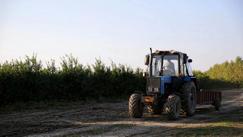 Chamusca recebe formação gratuita para condução segura de tratores