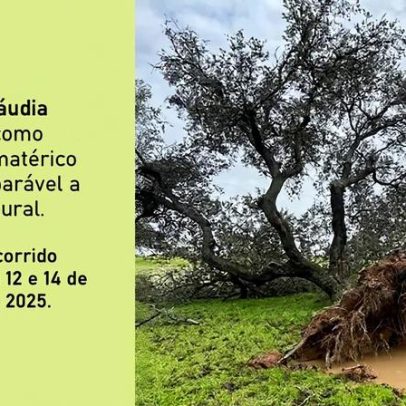 Depressão Cláudia reconhecida como fenómeno climatérico adverso no Alentejo